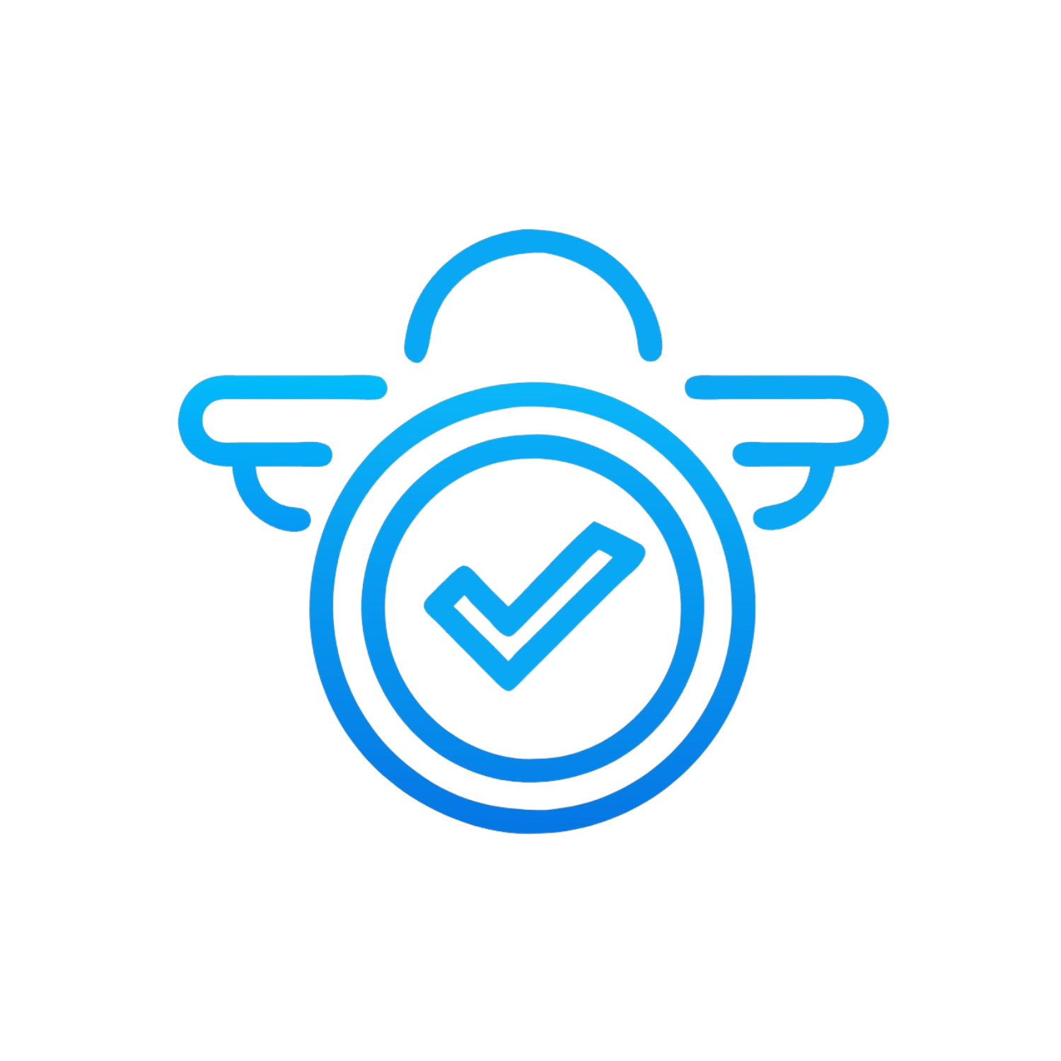 AeroCheck Project